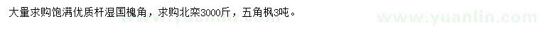 求購國槐角、北欒、五角楓
