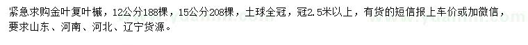 求購(gòu)12、15公分金葉復(fù)葉槭