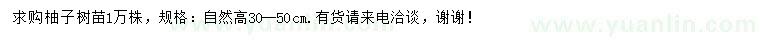 求購高30-50公分柚子樹