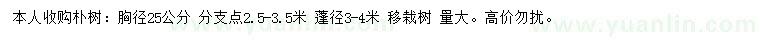 求購(gòu)胸徑25公分樸樹