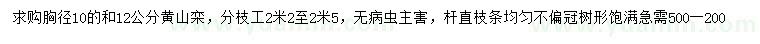 求購胸徑10、12公分欒樹