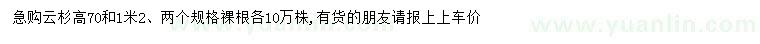 求購高70公分、1.2米云杉
