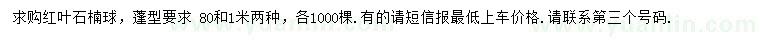 求購80、100公分紅葉石楠球