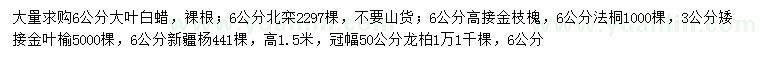 求購大葉白蠟、北欒、金枝槐等