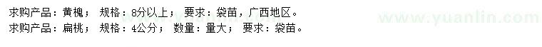 求購8公分以上黃槐、4公分扁桃