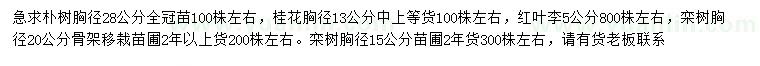 求購(gòu)樸樹(shù)、桂花、紅葉李等