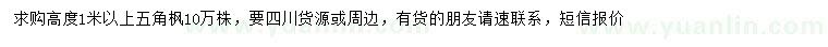 求購高1米以上五角楓