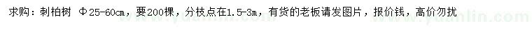 求購25-60公分刺柏
