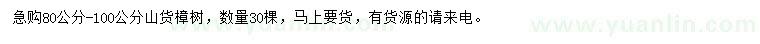 求購(gòu)80-100公分樟樹