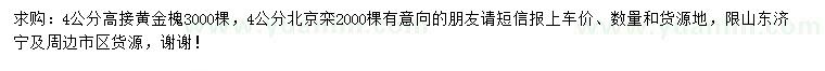 求購4公分黃金槐、北京欒
