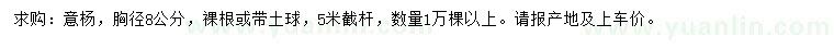 求購胸徑8公分意楊