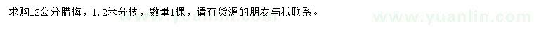 求購12公分臘梅