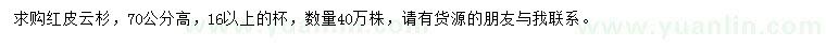 求購(gòu)高70公分紅皮云杉