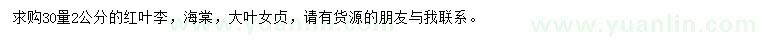 求購紅葉李、海棠、大葉女貞