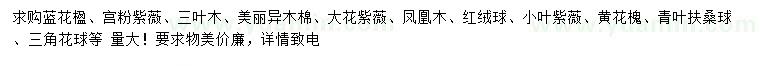 求購藍花楹、宮粉紫薇、三葉木等