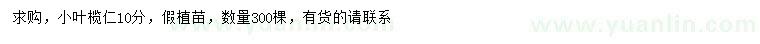 求購10公分小葉欖仁