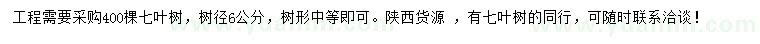求購6公分七葉樹