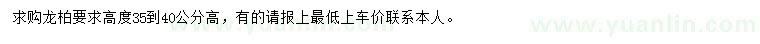 求購高35-40公分龍柏