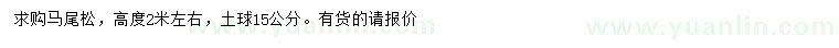 求購高2米馬尾松