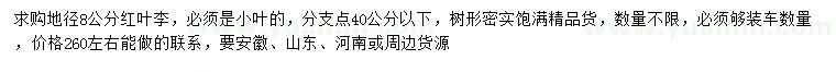 求購地徑8公分小葉紅葉李