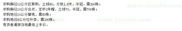 求購巨紫荊、合歡、碧桃等