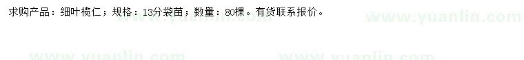 求購13公分細葉欖仁