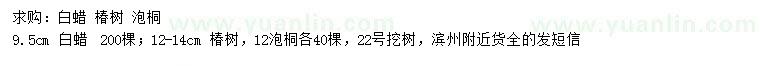 求購白蠟、椿樹、泡桐
