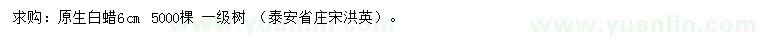 求購6公分原生白蠟