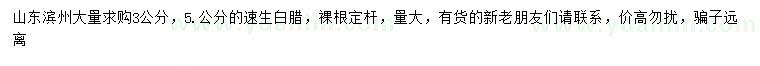求購3、5公分速生白臘