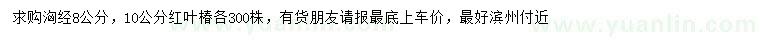 求購胸徑8、10公分紅葉椿