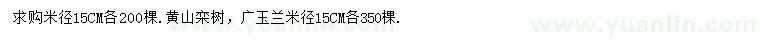 求購(gòu)米徑15公分廣玉蘭、黃山欒樹(shù)