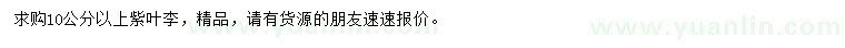 求購10公分以上紫葉李