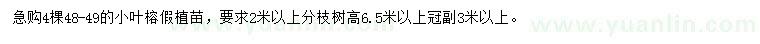 求購48-49小葉榕
