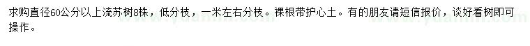 求購直徑60公分以上流蘇樹