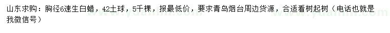求購(gòu)胸徑6公分速生白蠟