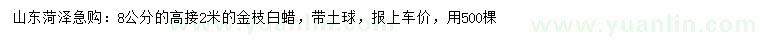 求購(gòu)8公分金枝白蠟