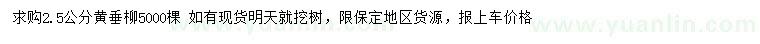 求購(gòu)2.5公分黃垂柳