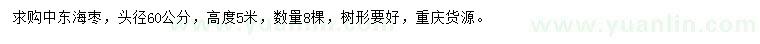 求購高5米中東海棗
