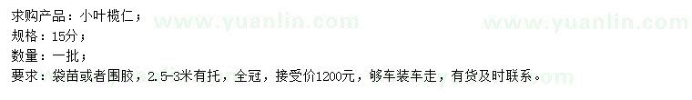 求購(gòu)15公分小葉欖仁