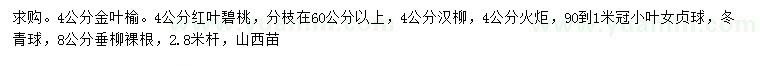 求購金葉榆、紅葉碧桃、旱柳等