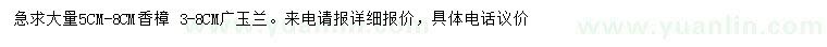 求購(gòu)5-8公分香樟、3-8公分廣玉蘭