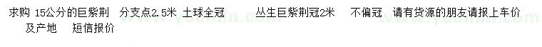 求購15公分巨紫荊