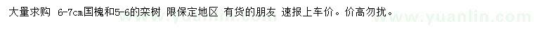 求購6-7公分國槐、5-6公分欒樹