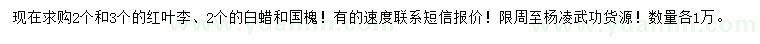 求購紅葉李、白蠟、國槐