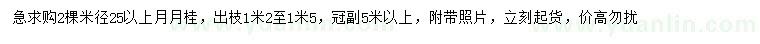 求購米徑25公分以上月月桂
