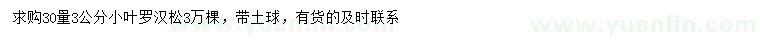 求購30量3公分小葉羅漢松