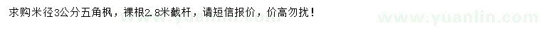 求購米徑3公分五角楓