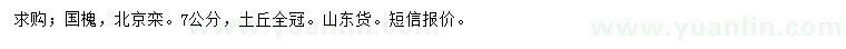 求購7公分國槐、北京欒