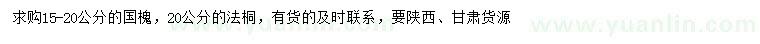 求購(gòu)15-20公分國(guó)槐、20公分法桐