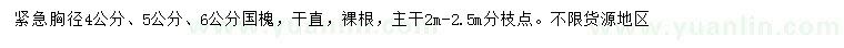 求購胸徑4、5、6公分國槐